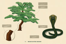 Load image into Gallery viewer, Organic Brush Kit for Procreate - Brian Ritter Design