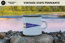 Load image into Gallery viewer, Vintage State Pennants - Brian Ritter Design