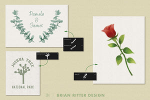 Foliage for Procreate - Brian Ritter Design
